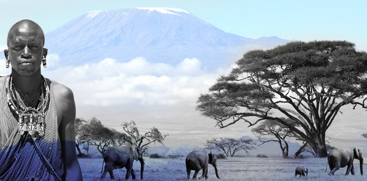 Tanzanian man in traditional attire with elephants and Mount Kilimanjaro in the background